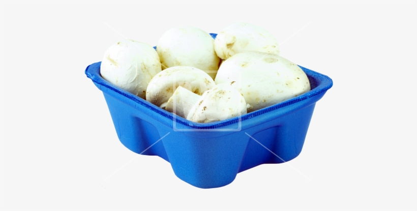 Fresh Mushrooms Png - Animal Cracker, transparent png