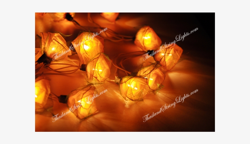 Paper Lantern, transparent png