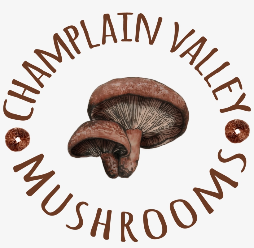 Mushrooms Png, transparent png