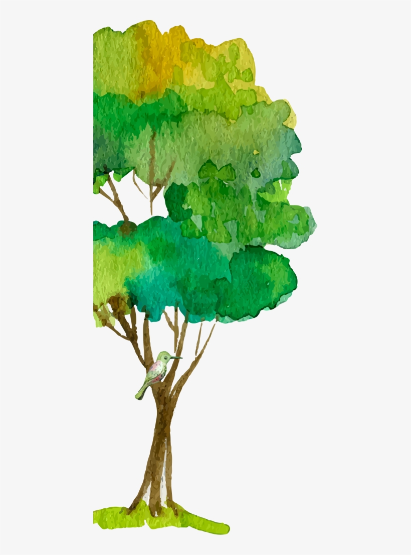 Next Governance - Oak, transparent png