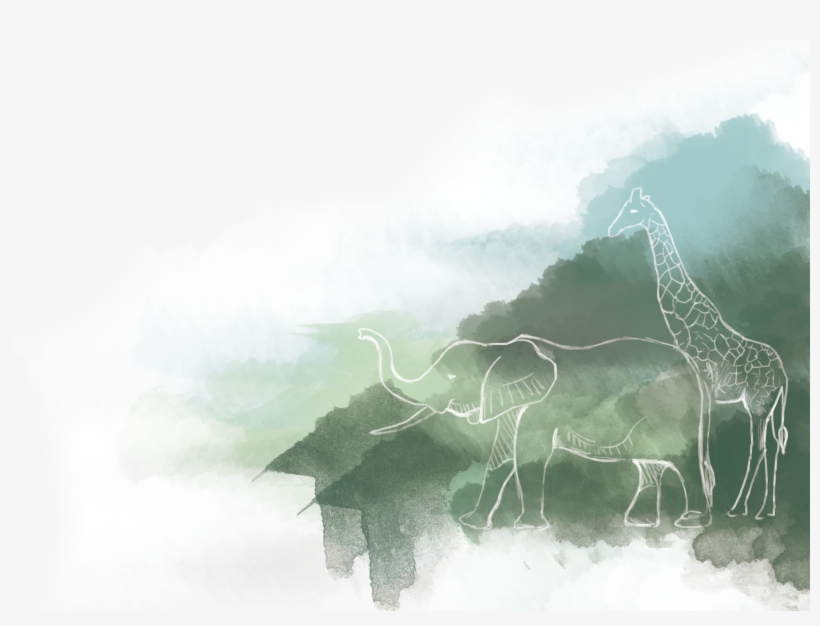 Sketch, transparent png
