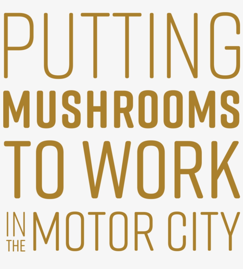 Tmf Putting Mushrooms To Work Yellow Xl - Orange, transparent png