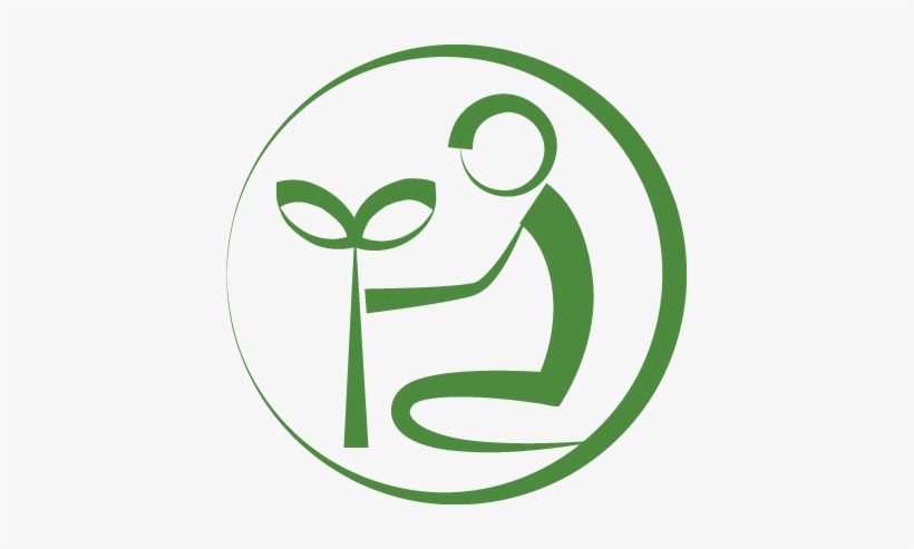 Kk Icon Plant Tree Green Outline - Plant Tree Png Icon, transparent png