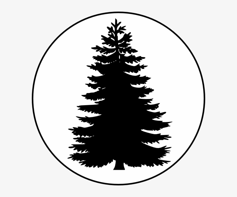 Pix For Evergreen Tree Outline - Pine Tree Silhouette Free, transparent png