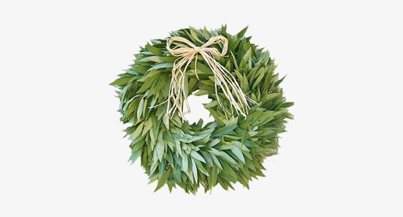Mcfadden Wreath Bayleaf Copy - Wreath, transparent png