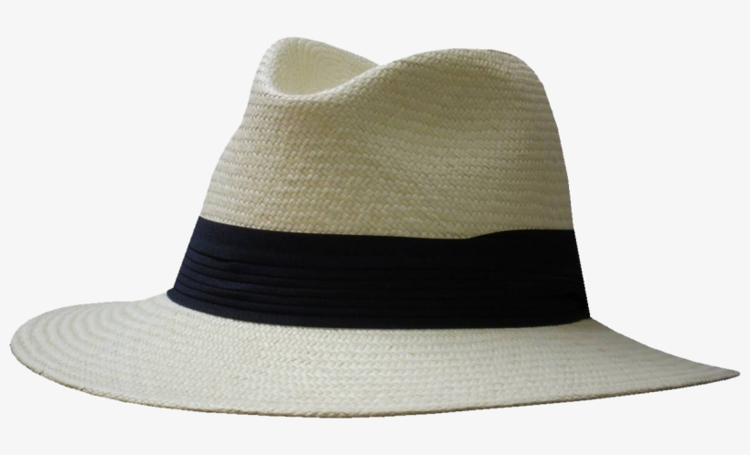 613828 Panama Safari - Panama, transparent png