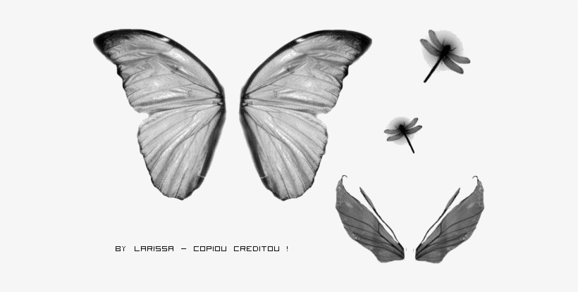 Http - //i41 - Tinypic - Com/2mg4hgn - Asas Http - - Photoscape, transparent png