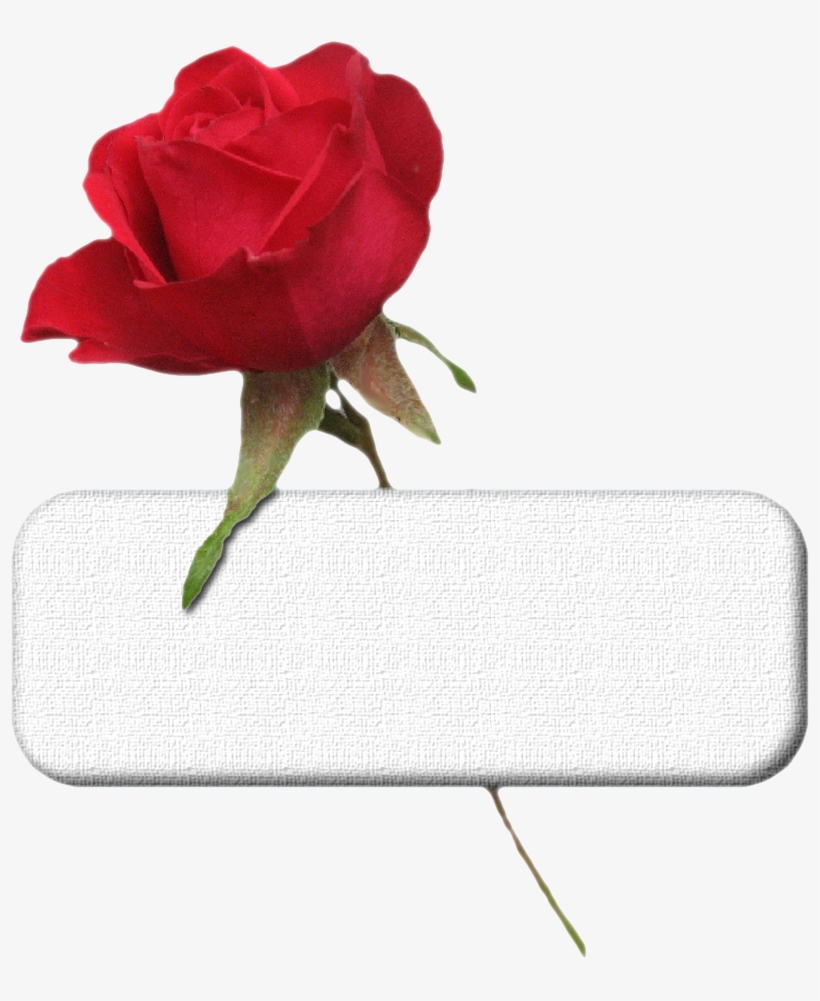 Plaque St Valentin - St Valentin Tube Psp, transparent png