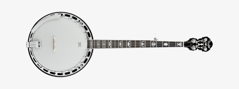 Why Every Guitar Player Should Learn To Play The Banjo - Banjo Fender, transparent png