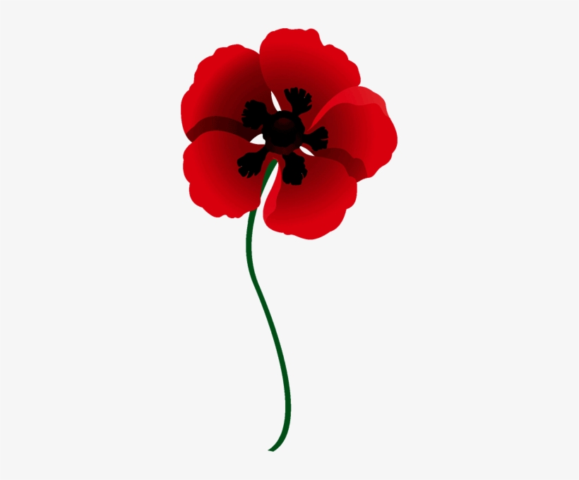 Ride - Red Poppy, transparent png