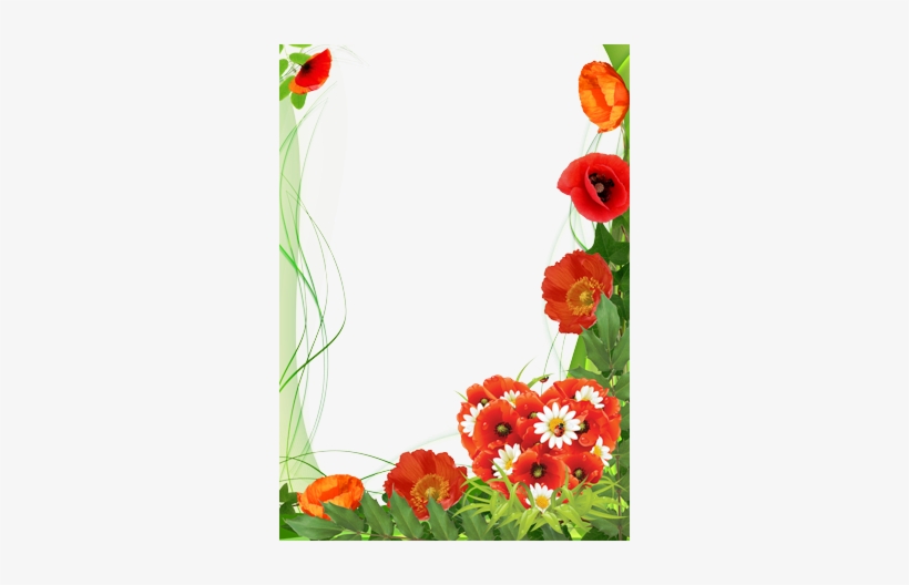 Poppies Color Of Love - Transparent Poppies Frame Png, transparent png