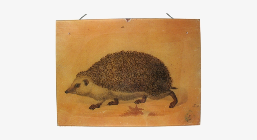 John Derian Wall Haning Decoupage Plaque - Art, transparent png