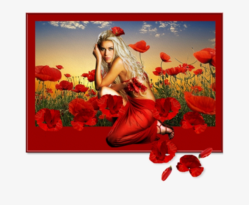 Poppies And Women - Wallpaper, transparent png