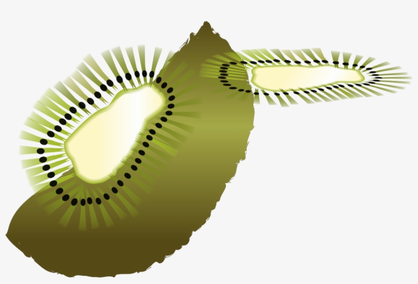 Kiwifruit Computer Icons Bird Coloring Book - Clip Art, transparent png