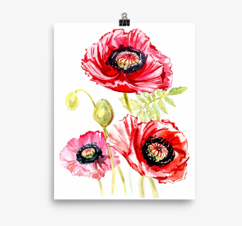Bright And Floral Poppy Watercolour Matte Poster - Watercolor Painting, transparent png