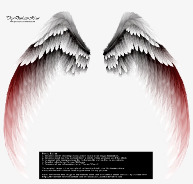 Arch Wings Red Tinge - Transparent Background Wings Png, transparent png