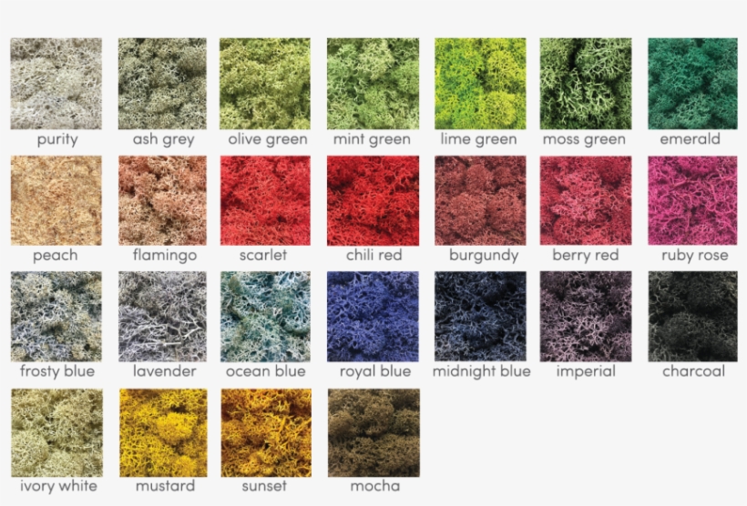With Plenty Of Colours Available, Make Your Interior - Moontea Eyeshadow, transparent png
