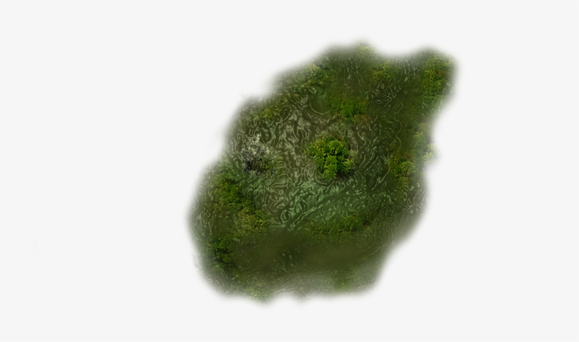 24 Mar 2009 - Dundjinni Swamp, transparent png