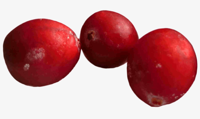 Free Png Cranberries Png Images Transparent - Cranberry Png, transparent png