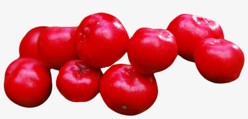 Free Png Cranberry Png Images Transparent - Cranberry Png, transparent png