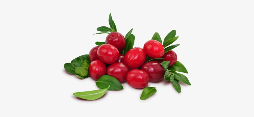 Ocean Spray Cranberries - Transparent Cranberries, transparent png