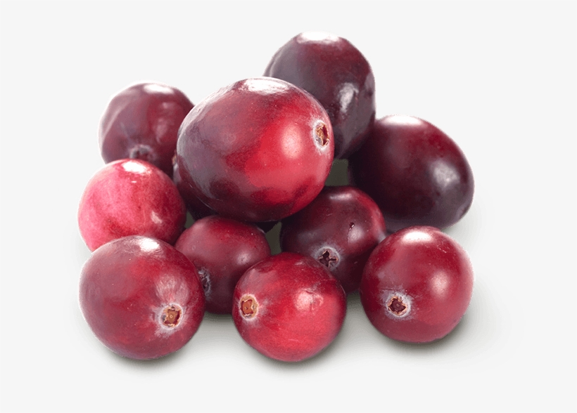 Cranberry - Fruit Cranberries, transparent png