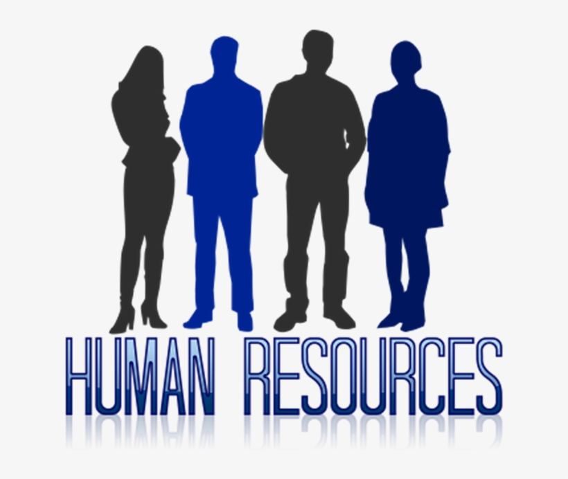 Small Business Human Resource, transparent png