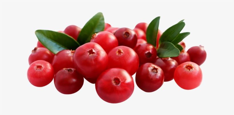 1/2 Kg Chopped Cranberries - Cranberry, transparent png