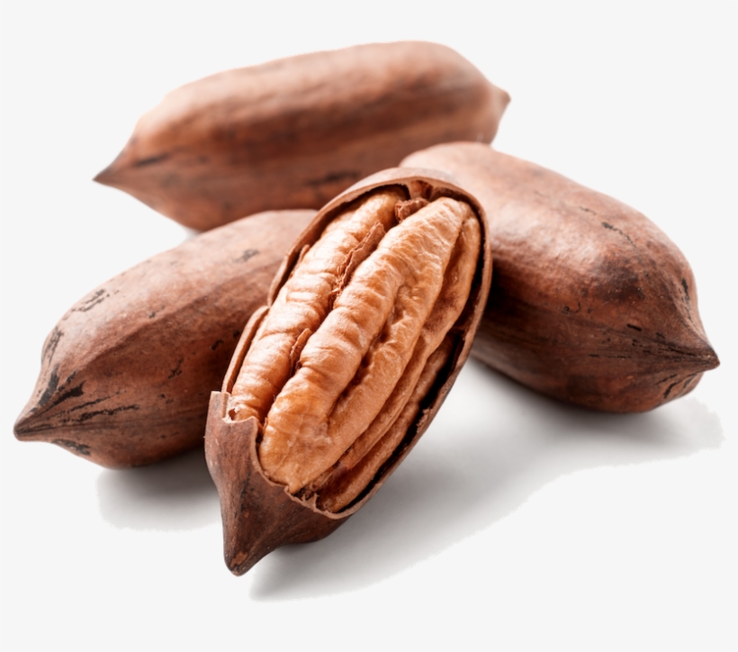 The Industry's - Pecan, transparent png