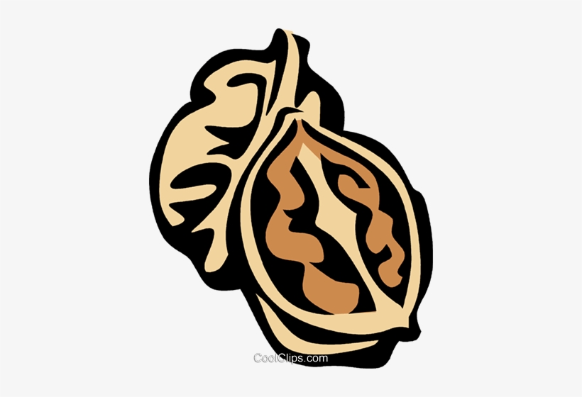 Walnuts - Walnuts Clip Art Png, transparent png