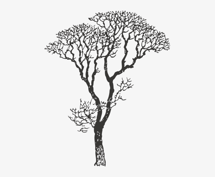 Charcoal Tree Drawing At Getdrawings - Tree Drawing Black And White, transparent png