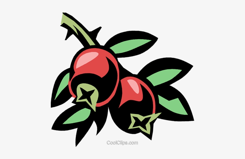 Cranberry Royalty Free Vector Clip Art Illustration - Free Cranberry Clipart, transparent png