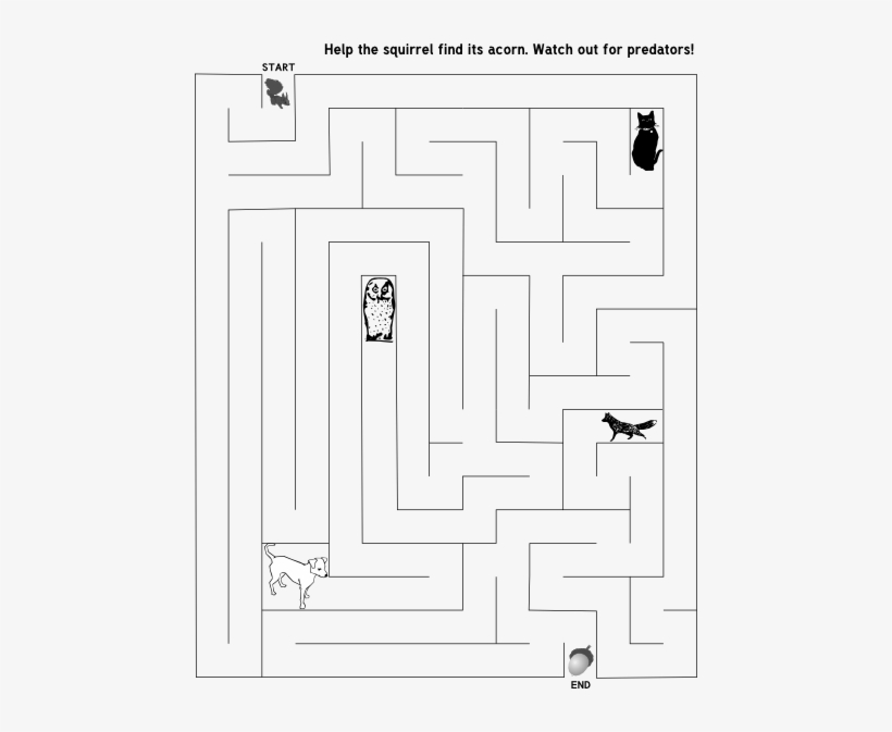 Squirrel Maze 008 - Clip Art, transparent png