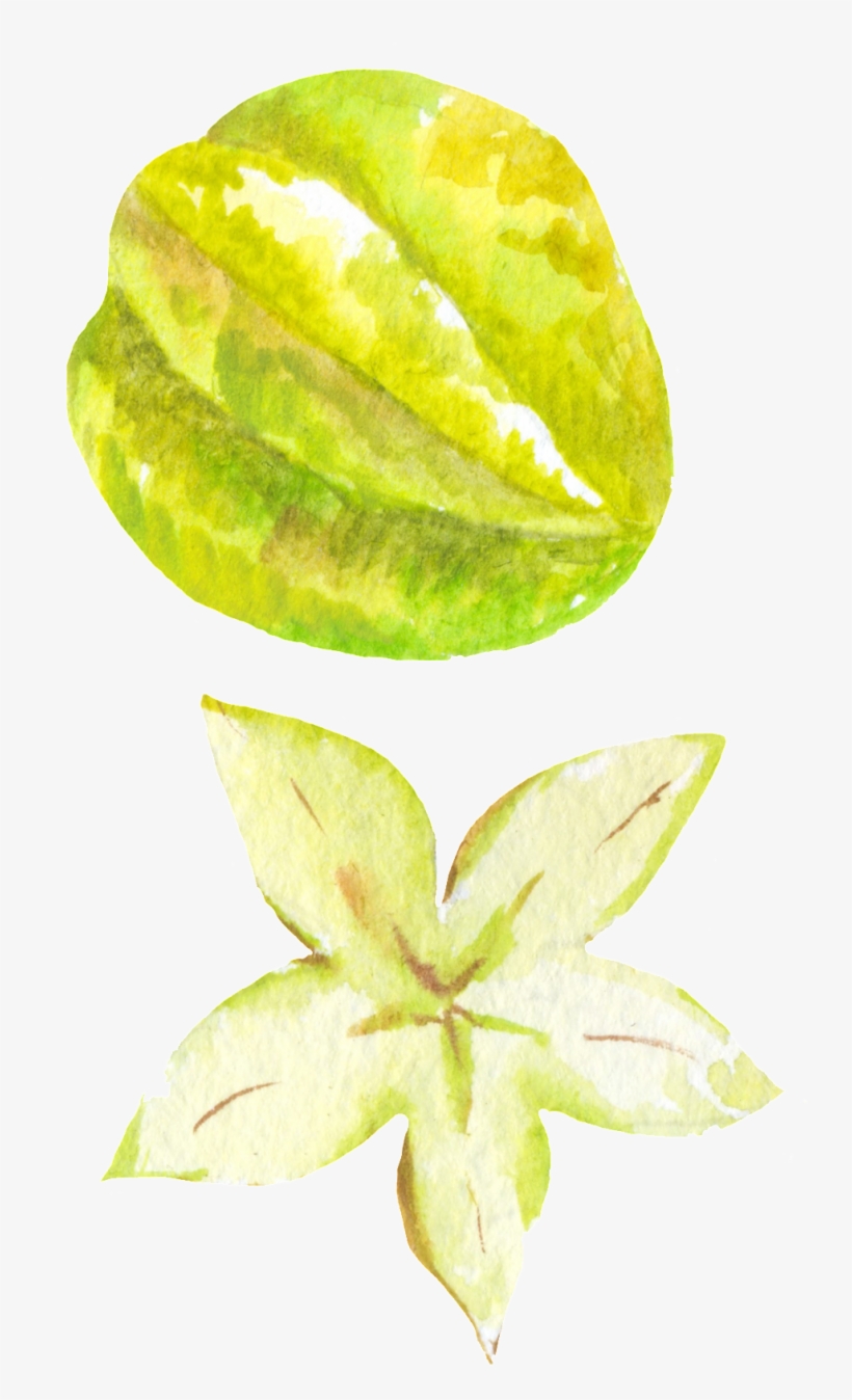 Hand Painted Carambola Png Transparent - Portable Network Graphics, transparent png