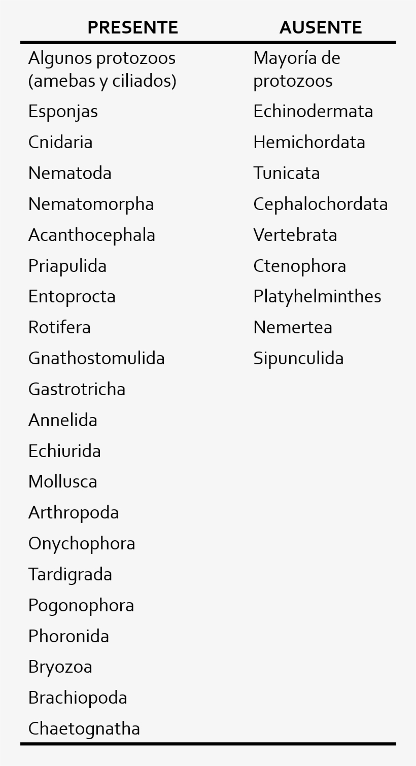 Quitina En Animales - Ebastine Betamethasone Co Aleva, transparent png