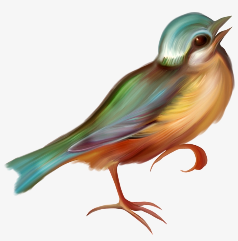 Passáro Png, transparent png
