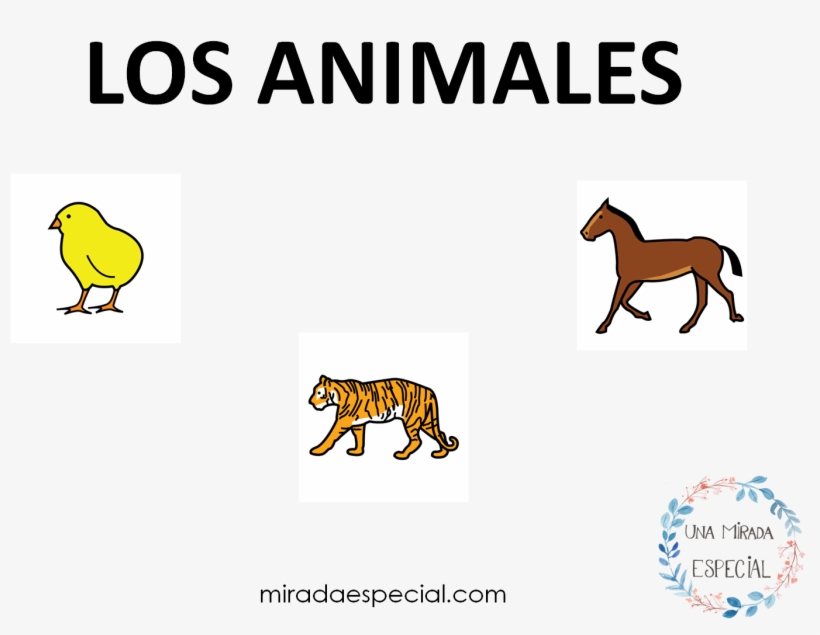 Los Animales - World Of Females, transparent png