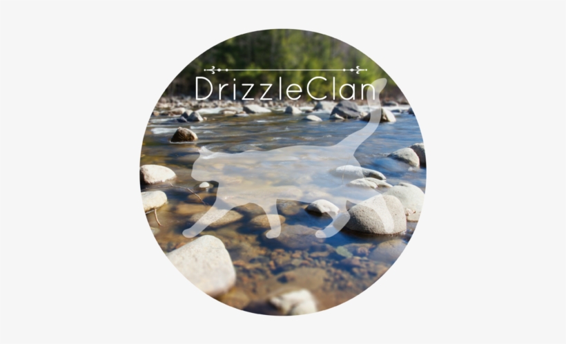 Summer Rocks Trees River - Reflection, transparent png