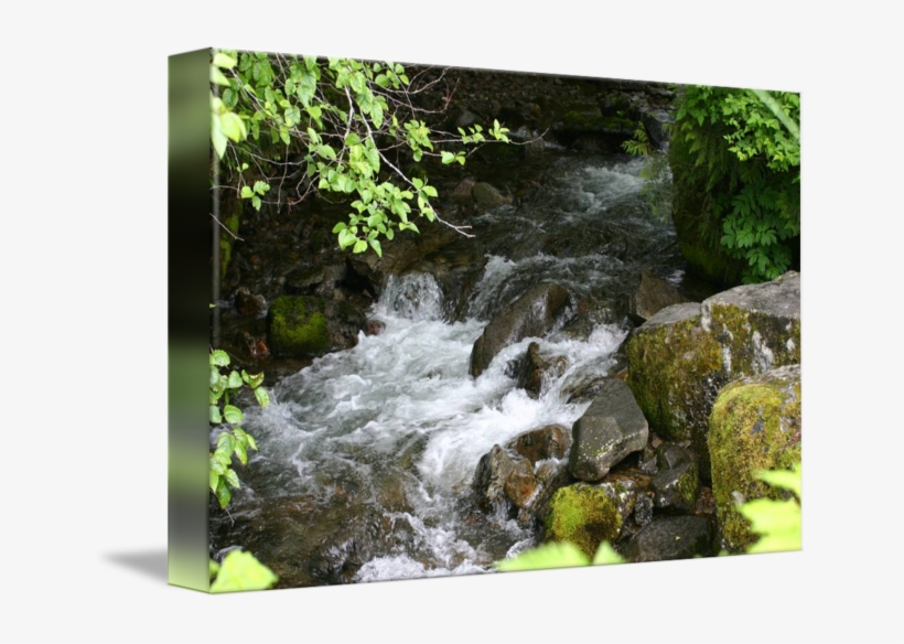 Ketchikan Waterfall By Christina Walton Clip Library - Library, transparent png