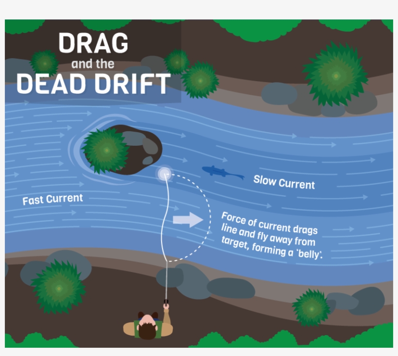 Drag And Dead Drift - Dead Drift A Fly, transparent png