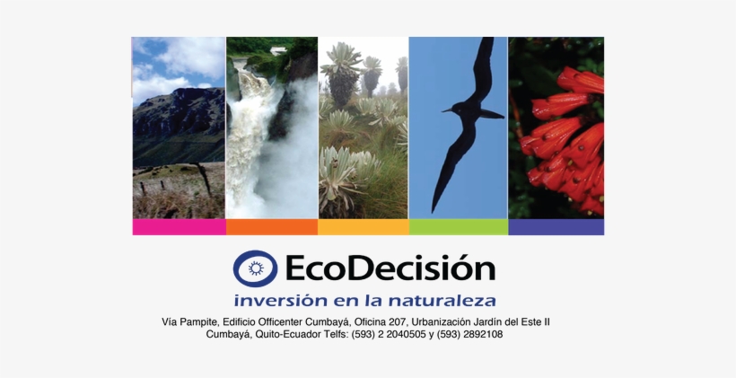 Ecodecisión - Garzón, Uruguay, transparent png