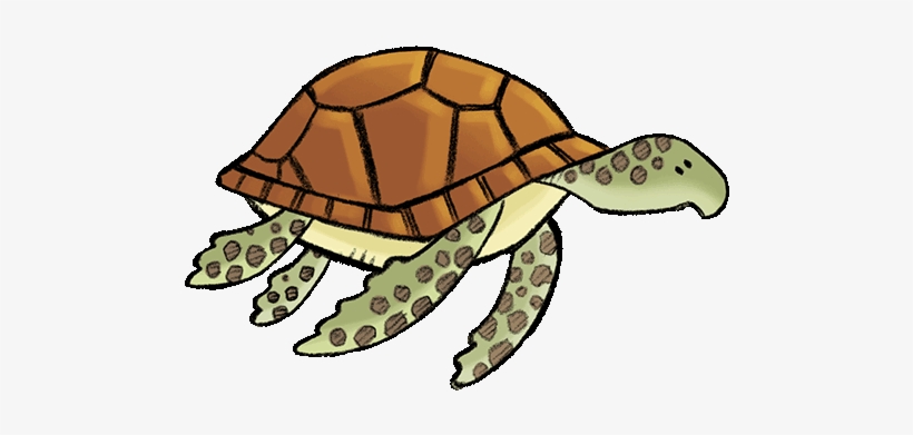 Stream Clipart Water Game - Chelonoidis, transparent png