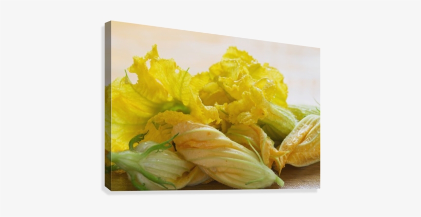 Close Up Of Zucchini Blossoms With Water Drops On Wooden - Posterazzi Close Up Of Zucchini Blossoms With Water, transparent png
