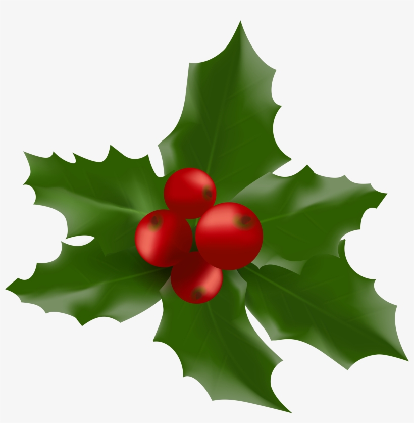Holly Leaf Png, transparent png