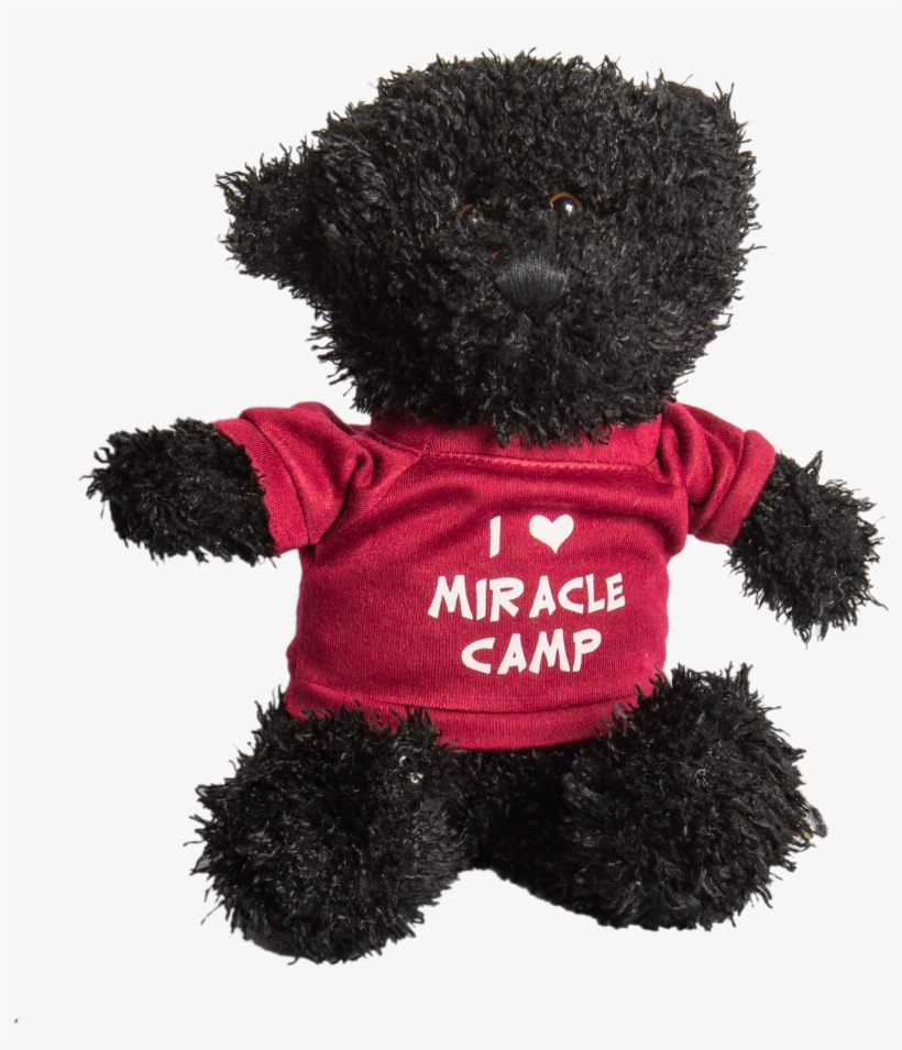 Teddy Bear, transparent png