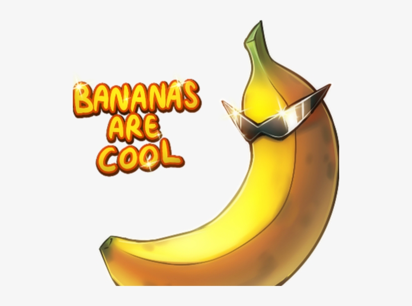 Photo, transparent png