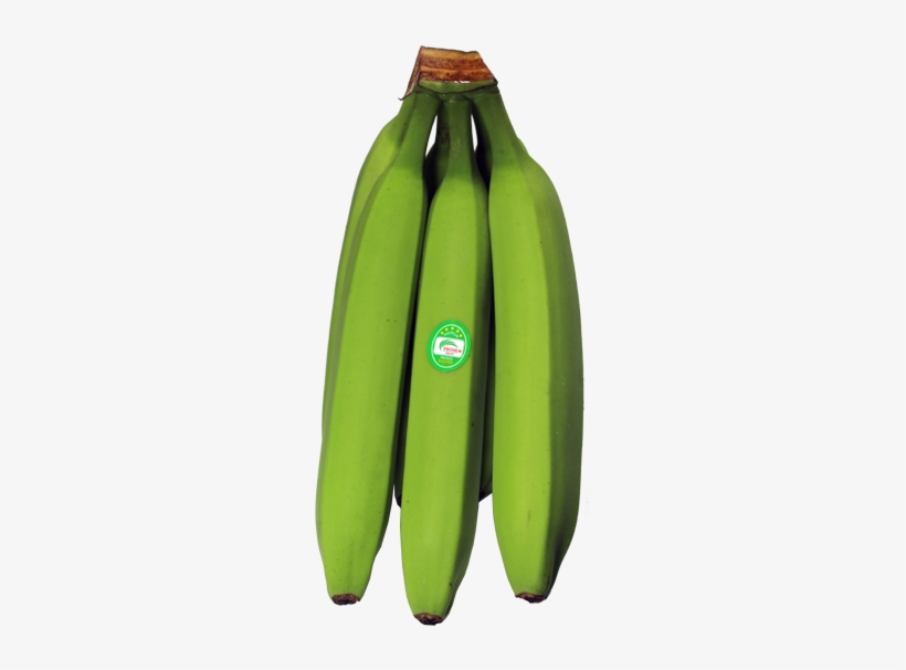 Regularcluster - Zucchini, transparent png