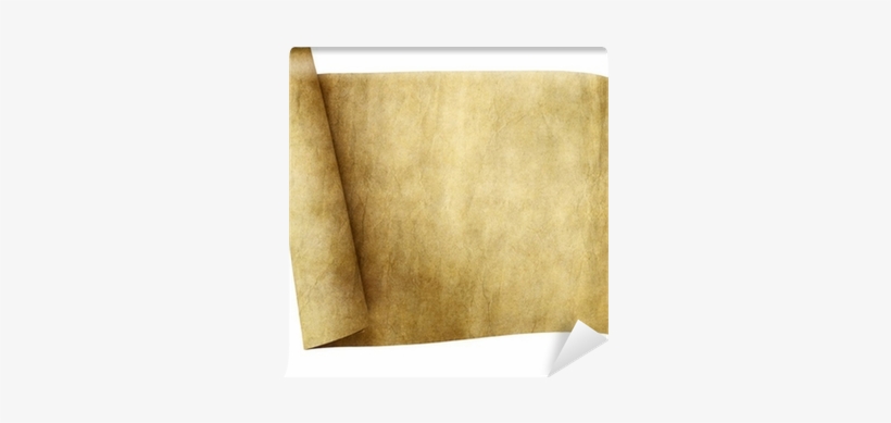 Life, transparent png