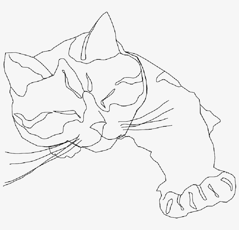 Mb Image/png - Cat Line Drawing, transparent png