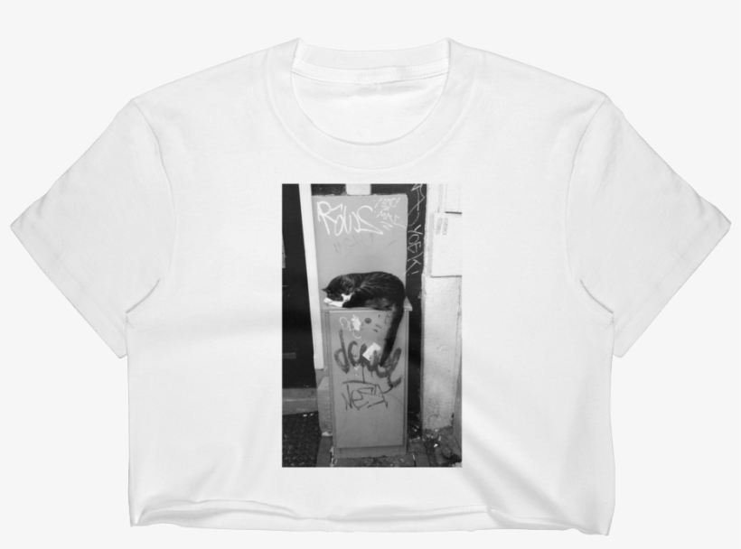 Sleeping Cat In Amsterdam - Monochrome, transparent png